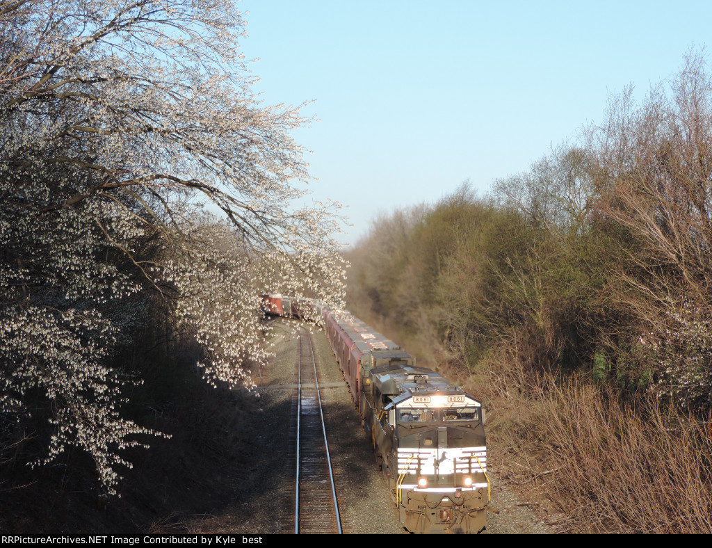 Trains and spring flowers 